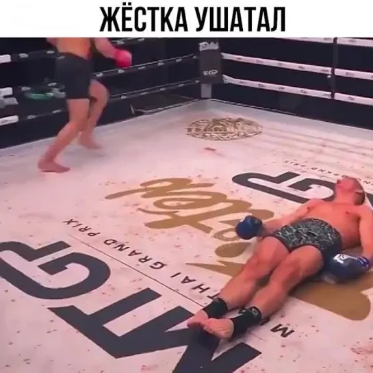 Video by Смотрим Спорт | MMA | UFC | Boxing | Футбол