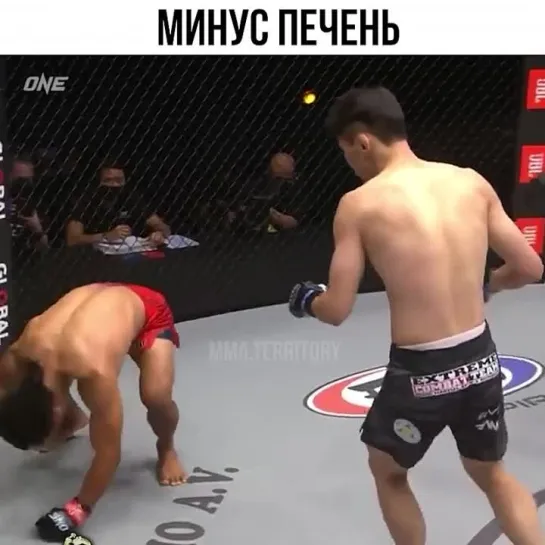 Video by Смотрим Спорт | MMA | UFC | Boxing | Футбол