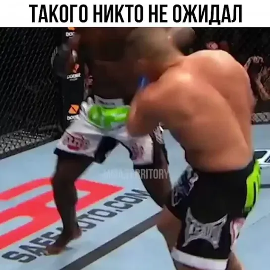 Video by Смотрим Спорт | MMA | UFC | Boxing | Футбол