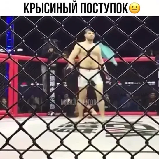 Video by Смотрим Спорт | MMA | UFC | Boxing | Футбол