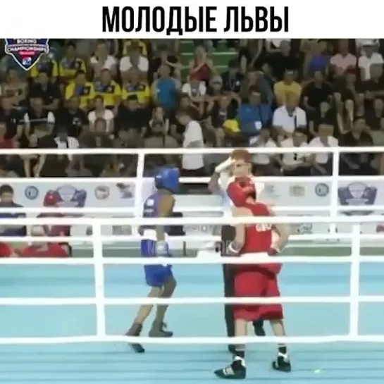 Video by Смотрим Спорт | MMA | UFC | Boxing | Футбол