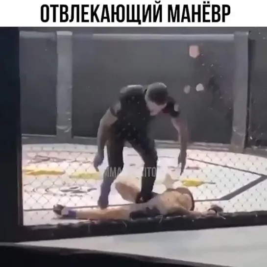 Video by Смотрим Спорт | MMA | UFC | Boxing | Футбол