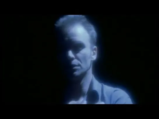 Sting - Fields Of Gold (1993)