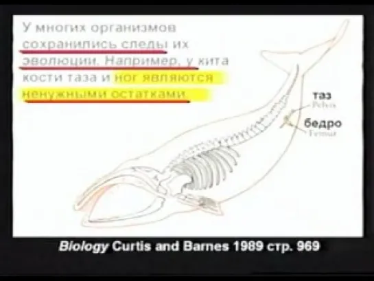 Кент Ховинд - Часть 4: "Что находится в учебниках"