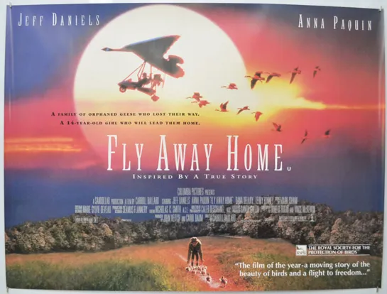 Fly Away Home 1996