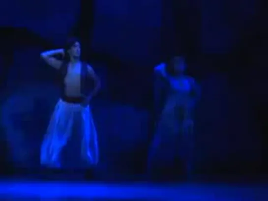 Disney's Aladdin: A Musical Spectacular (3 of 7)