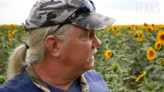 Russel Bentley "Texas": Rolnictwo Donbasu, GMO? HELL NO! - Donbas, lato 2019