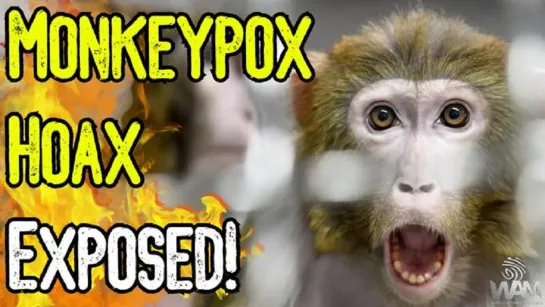 MONKEYPOX HOAX EXPOSED - They're DESPERATE For Compliance - Public Health Emergency EXTENDED