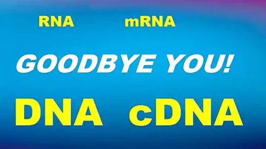 mRNA cDNA GOODBYE YOU!