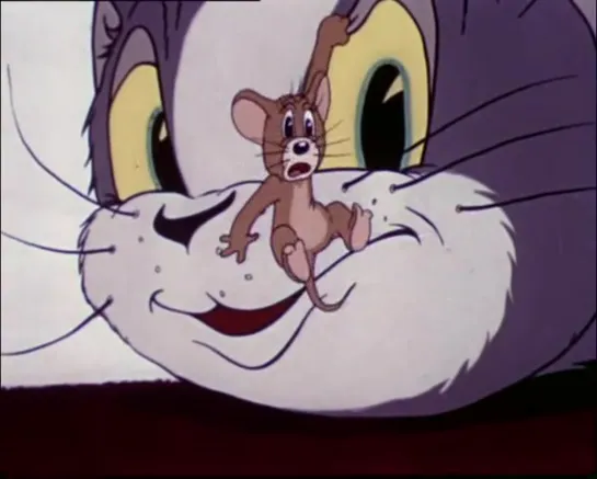 1940-02-10-Tom y Jerry-1x1c