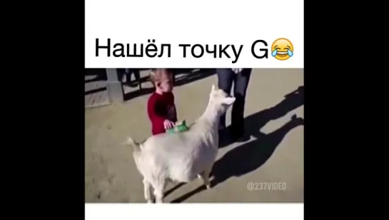 Точка g