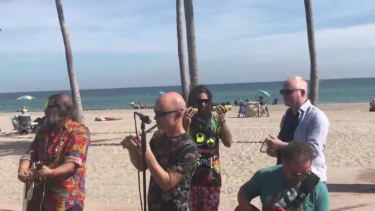 Песни на улицах - Miami beach 15.12.17