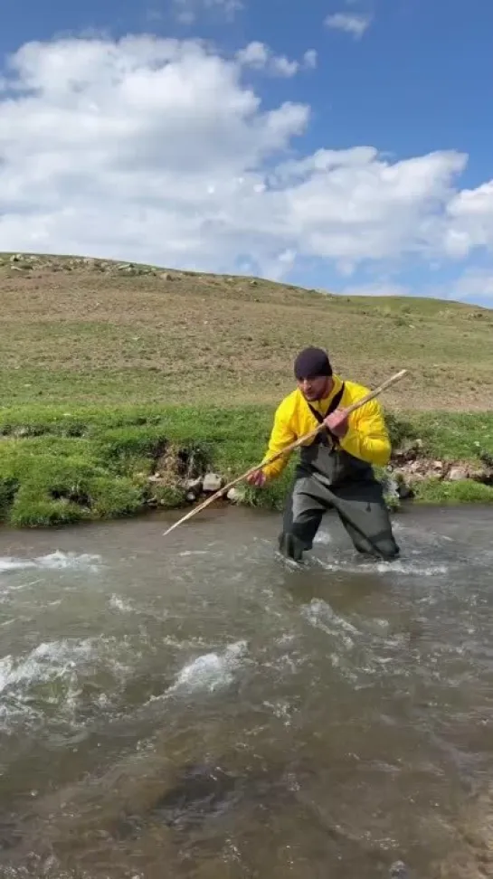 Видео от Типичный выживальщик