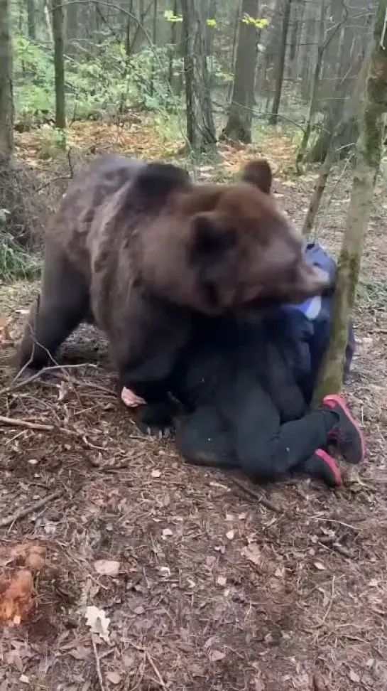 Видео от Типичный выживальщик