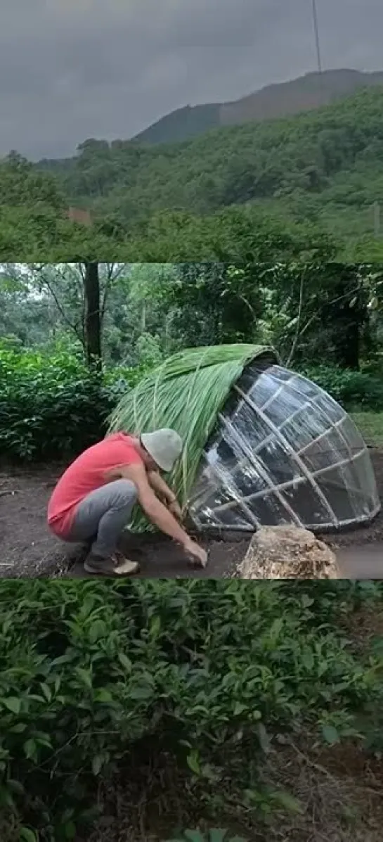 Видео от Типичный выживальщик