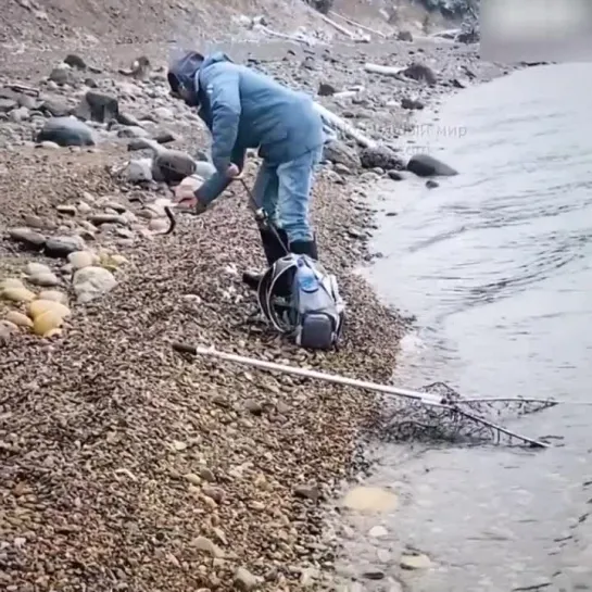 Видео от Типичный Выживальщик