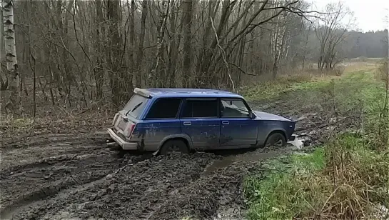 Видео от Типичный выживальщик