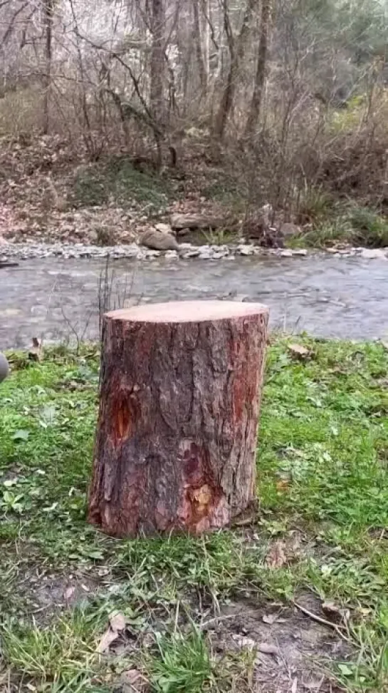 Видео от Типичный выживальщик