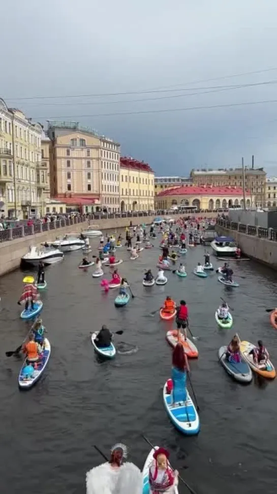 Видео от Типичный выживальщик