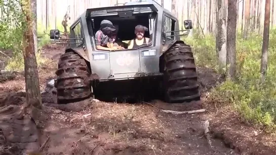 Видео от Типичный выживальщик