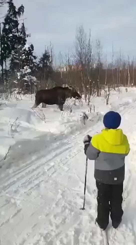 Видео от Типичный выживальщик