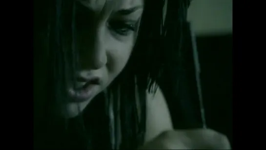 Evanescence Everybody's Fool