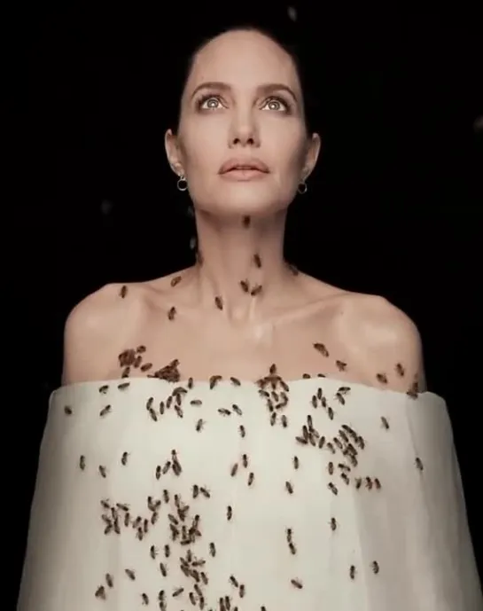 Angelina Jolie embraces bees - National Geographic