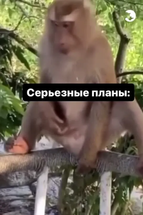 Video by НОСОРОГ