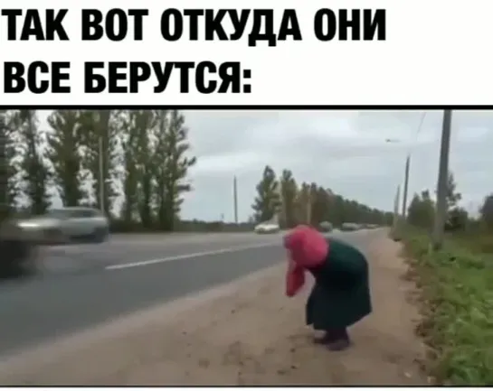 Вот от куда они берутся