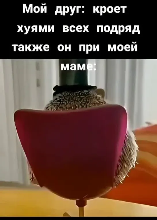 Мой друг при моей маме