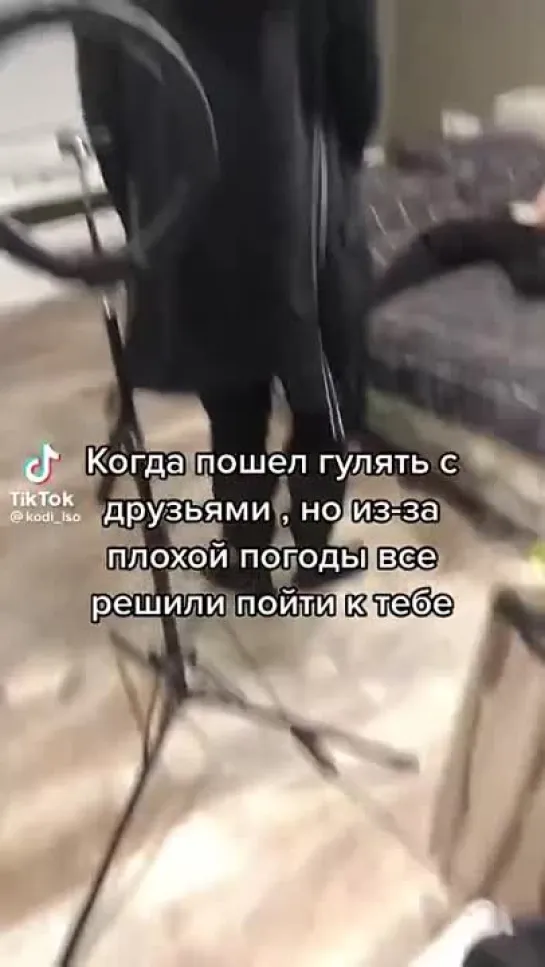 Когда к тебе домой пришли друзья