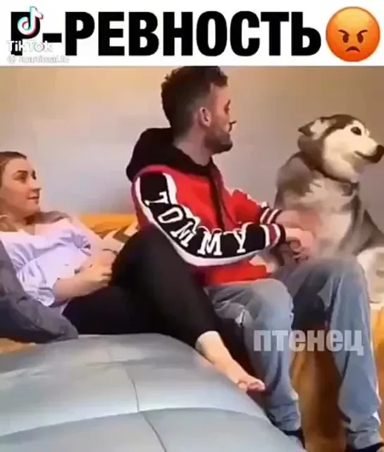 Ревность