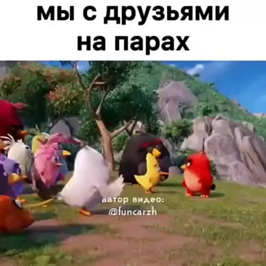 Мы с друзьями после занятий