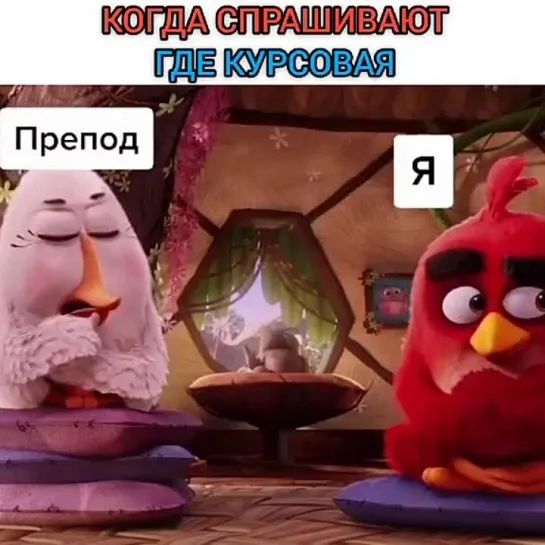 Когда спрашивают, где курсовая?