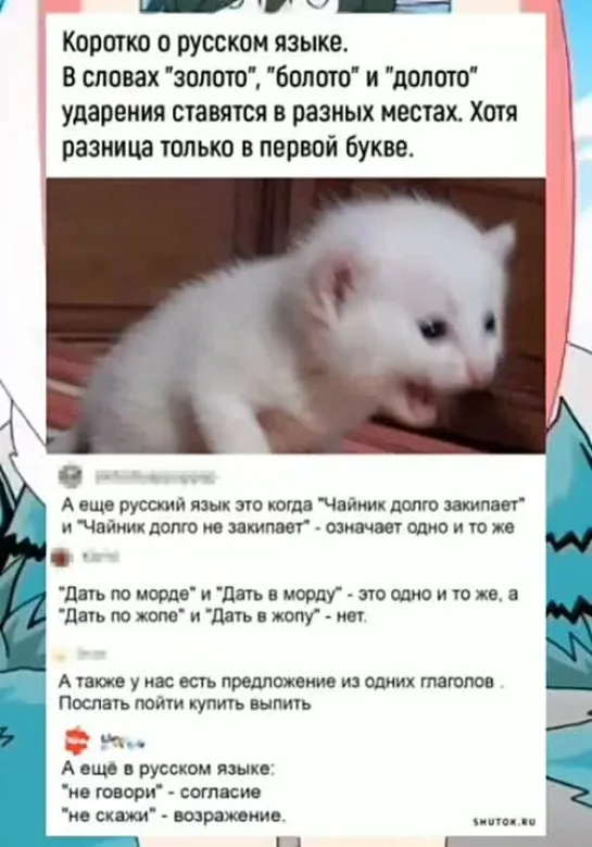 Про русский язык