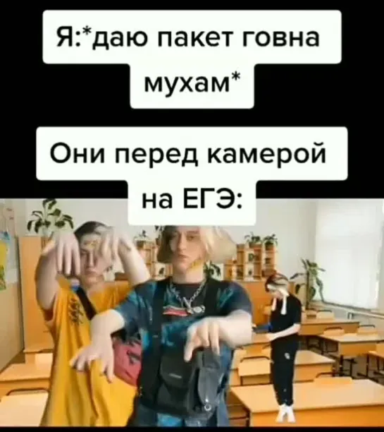 Мухи на ЕГЭ 🤩