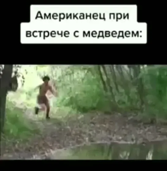 Встреча с медведем