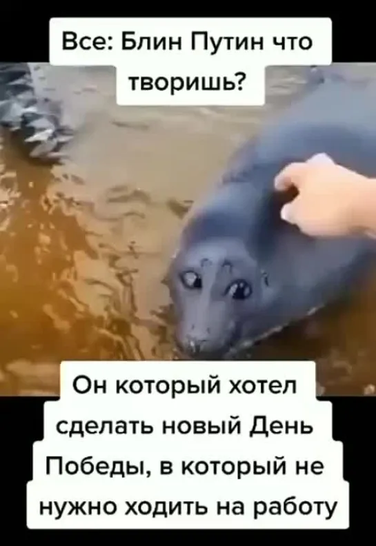 Новый День Победы