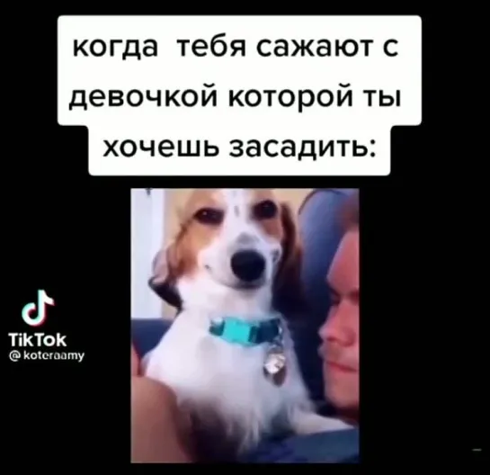 Когда все идет по плану