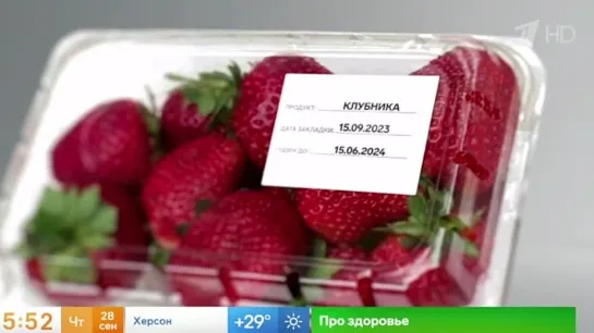 Срок хранения замороженных продуктов