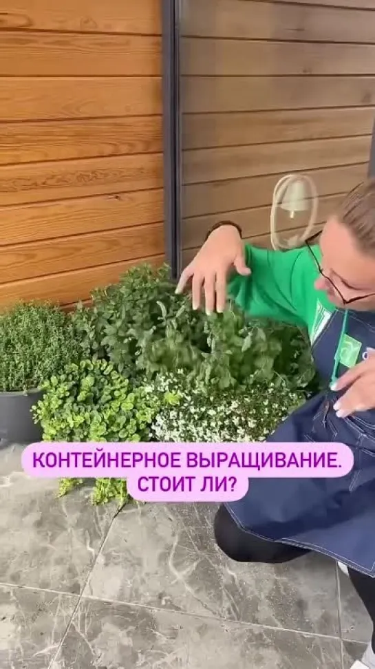 Так можно ли выращивать в контейнерах? И выгодно ли это!