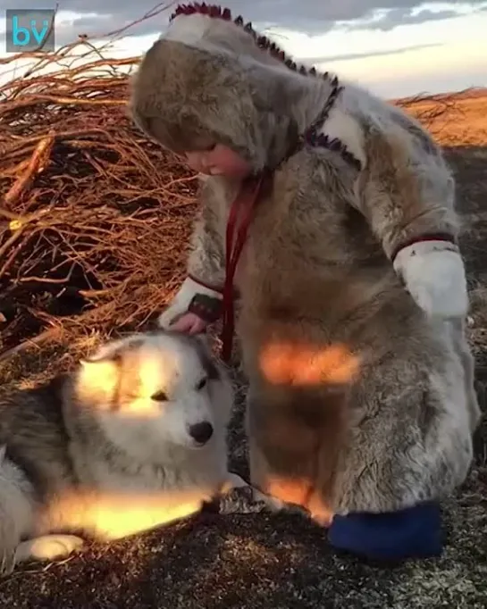 Ну надо же, какая красота на Севере. Там и люди добрее...