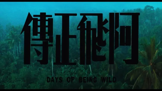 Дикие дни / Days of Being Wild (1990) dir. Wong Kar-wai [1080p] (RUS SUB)