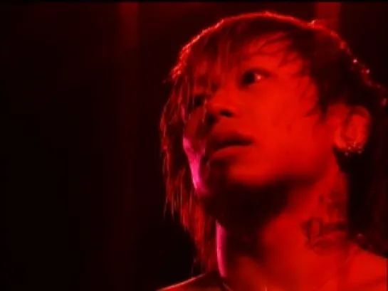 Dir en Grey - Conceived Sorrow (In Weal or Woe)