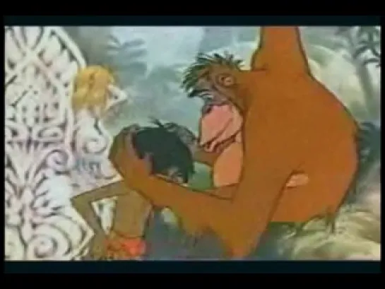 LOST | Jungle Book