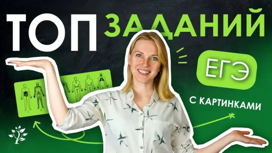 ТОП заданий ЕГЭ с картинками | Биология TutorOnline