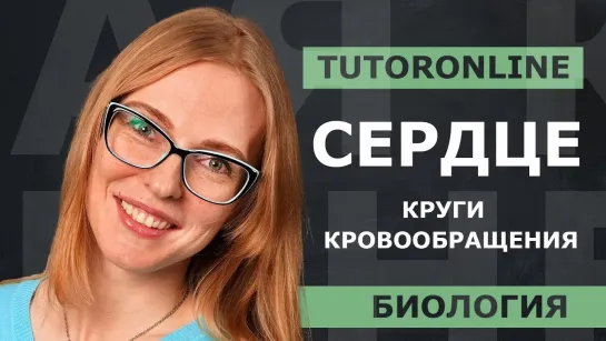 Сердце. Круги кровообращения | Биология | TutorOnline