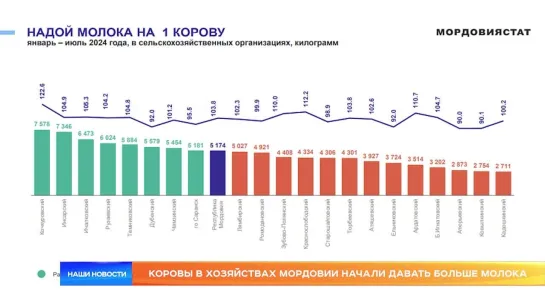 Коровы в хозяйствах Мордовии начали давать больше молока