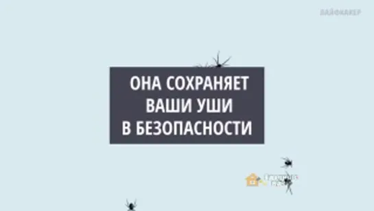 Почему опасно чистить уши ватными палочками