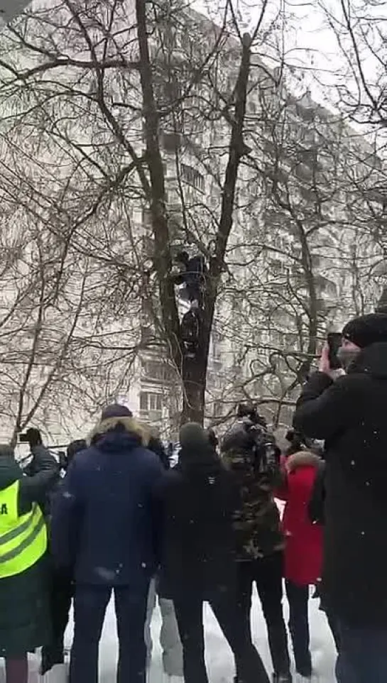 "Товарищ подполковник, покажите мне автозак"